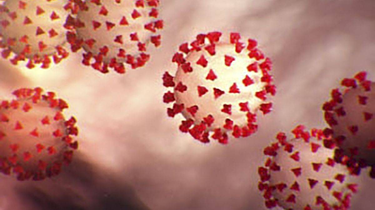 Information importantes - Covid 19