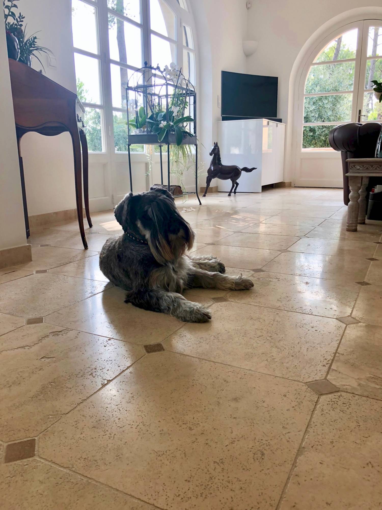 Importateur de carrelage en faïence Terracim Toulon 83