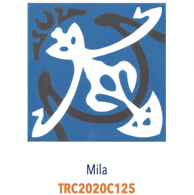 Carreaux Ciment - Décors