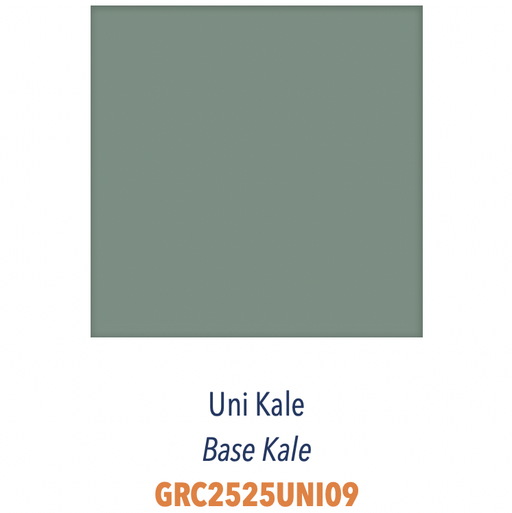 Carreau grès cérame pour sol et mur très résistant et facile d'entretien Uni Kale Vert