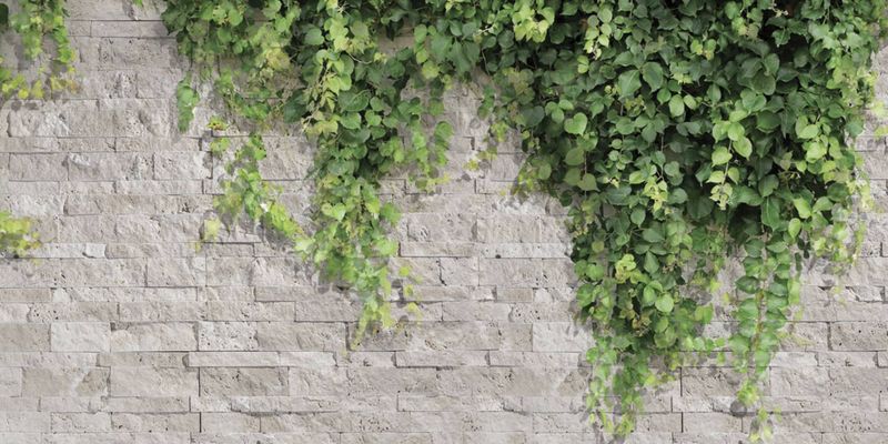 Parements de pierre naturelle