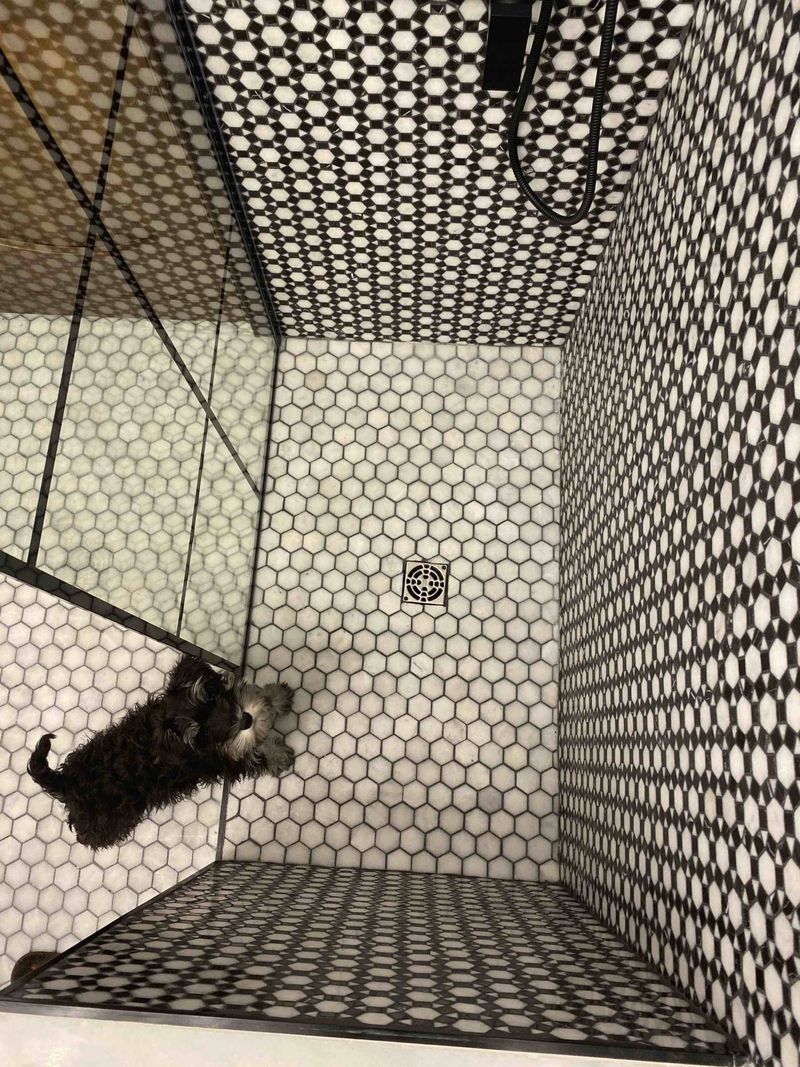 Mosaïques Marbre Noir & Blanc