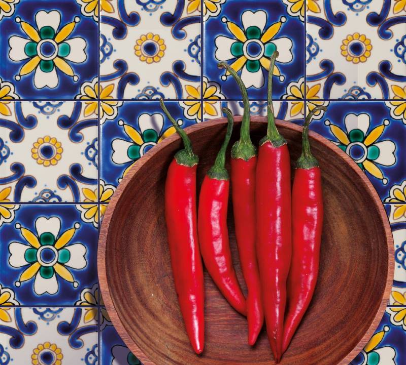 Diffusion Céramique, éditeur de revêtements d'exception depuis 1979 à Brignoles, Var