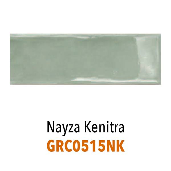 Nayza – Carreaux grès cérame 5 x 15 cm